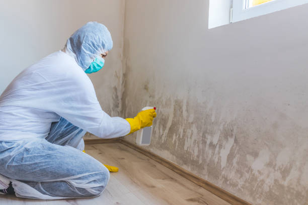 Commercial Mold Remediation assessment for commercial property in Richwood